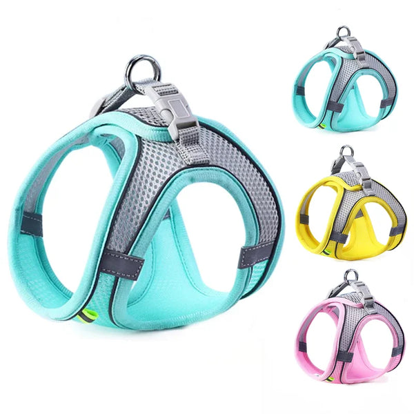Set of dog harnesses in various colors on a white background
