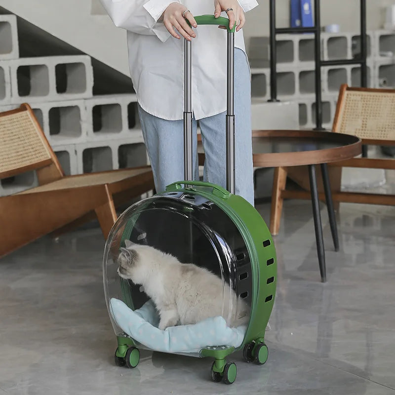 Person pulling a green pet carrier with a cat inside, set against an indoor background.