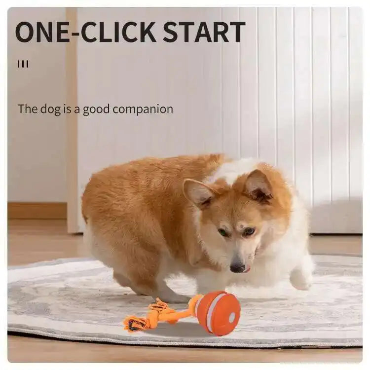 Automatic Rolling Dog Ball Toy Interactive Squeaky Chew Toy with Knot Rope