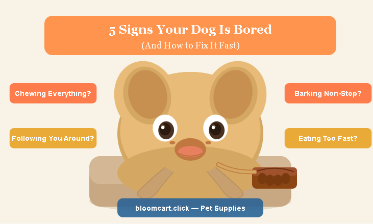 5 Signs Your Dog Is Bored 