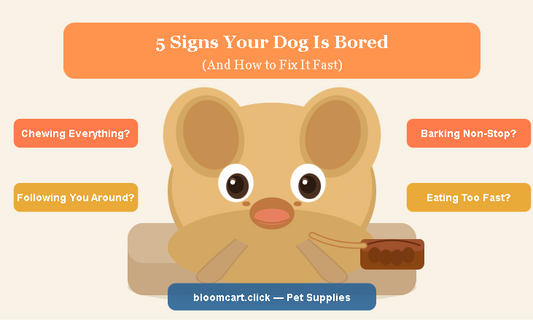 5 Signs Your Dog Is Bored 