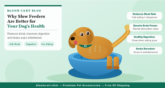 Why Slow Feeders Are Better for Your Dog's Health