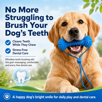 Golden retriever chewing a blue textured dog dental toy for everyday oral care and interactive play