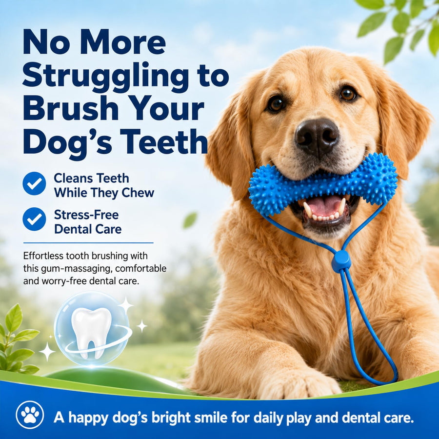 Dog Dental Chew Toy – Textured Rope Toy for Healthy Teeth & Fun Play