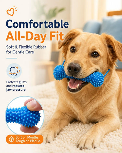 A golden retriever dog lying on a cream carpet and holding a blue spiky rubber dog toy in its mouth. The image includes marketing text reading 'Comfortable All-Day Fit' and feature callouts about gentle care, gum protection, and plaque reduction, plus a circular inset showing a hand holding the toy.