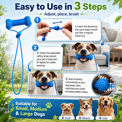 Dog dental toy with usage instructions and compatibility for small, medium, and large dogs.