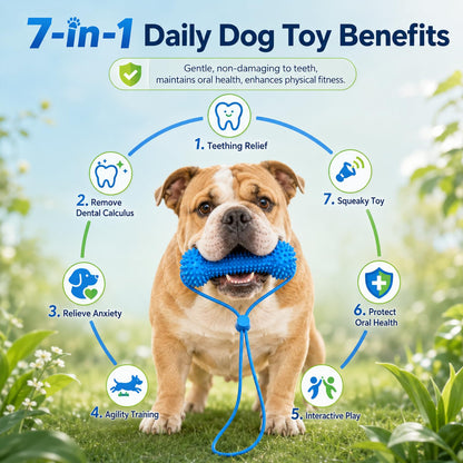 A bulldog outdoors on grass holding a blue textured dog toy in its mouth, with a circular infographic around it listing seven daily dog toy benefits including teething relief, dental calculus removal, anxiety relief, agility training, interactive play, oral health protection, and squeaky toy use.