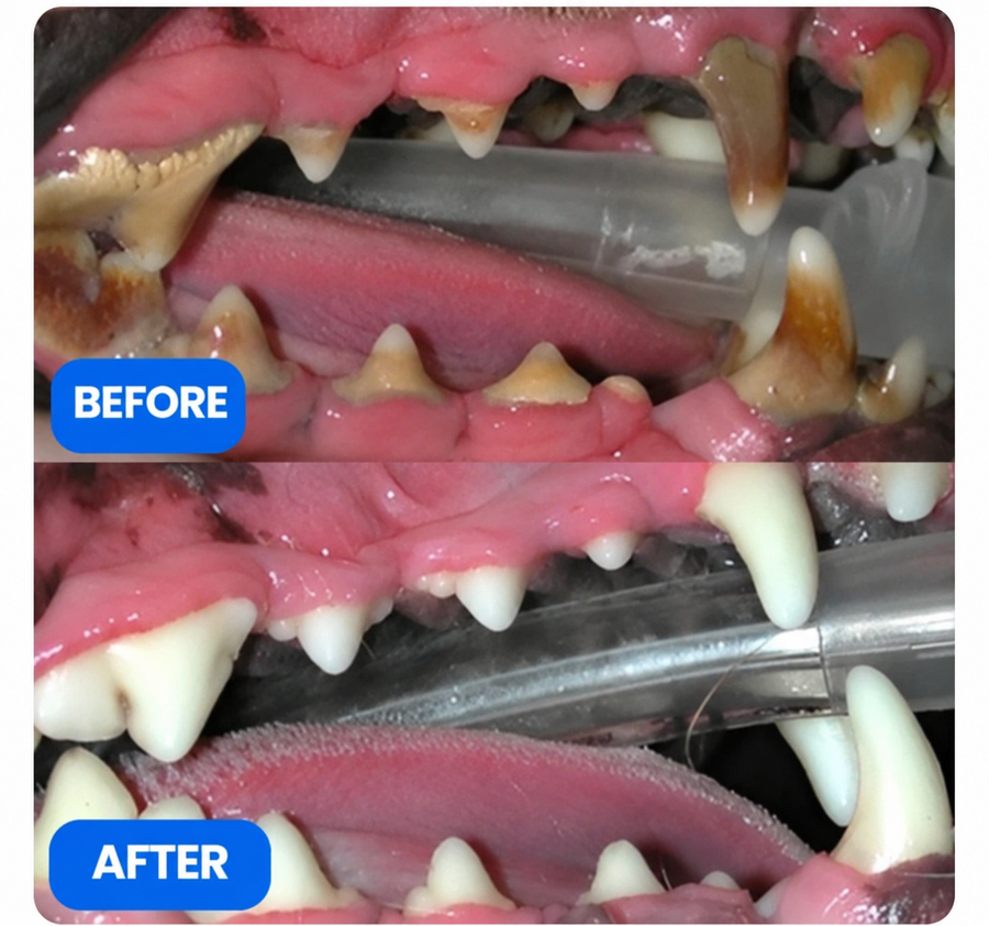 Teeth Cleaning Fresh Dog Tartar And Plaque Remover, Woof Tooth Hard Off, Brushing Toothbrush Tools Care Chew Toys 1PC