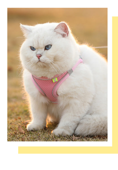 White cat wearing a pink harness on a grassy field