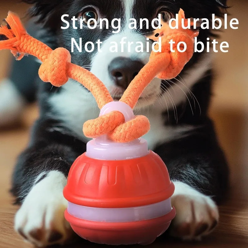 Automatic Rolling Dog Ball Toy Interactive Squeaky Chew Toy with Knot Rope