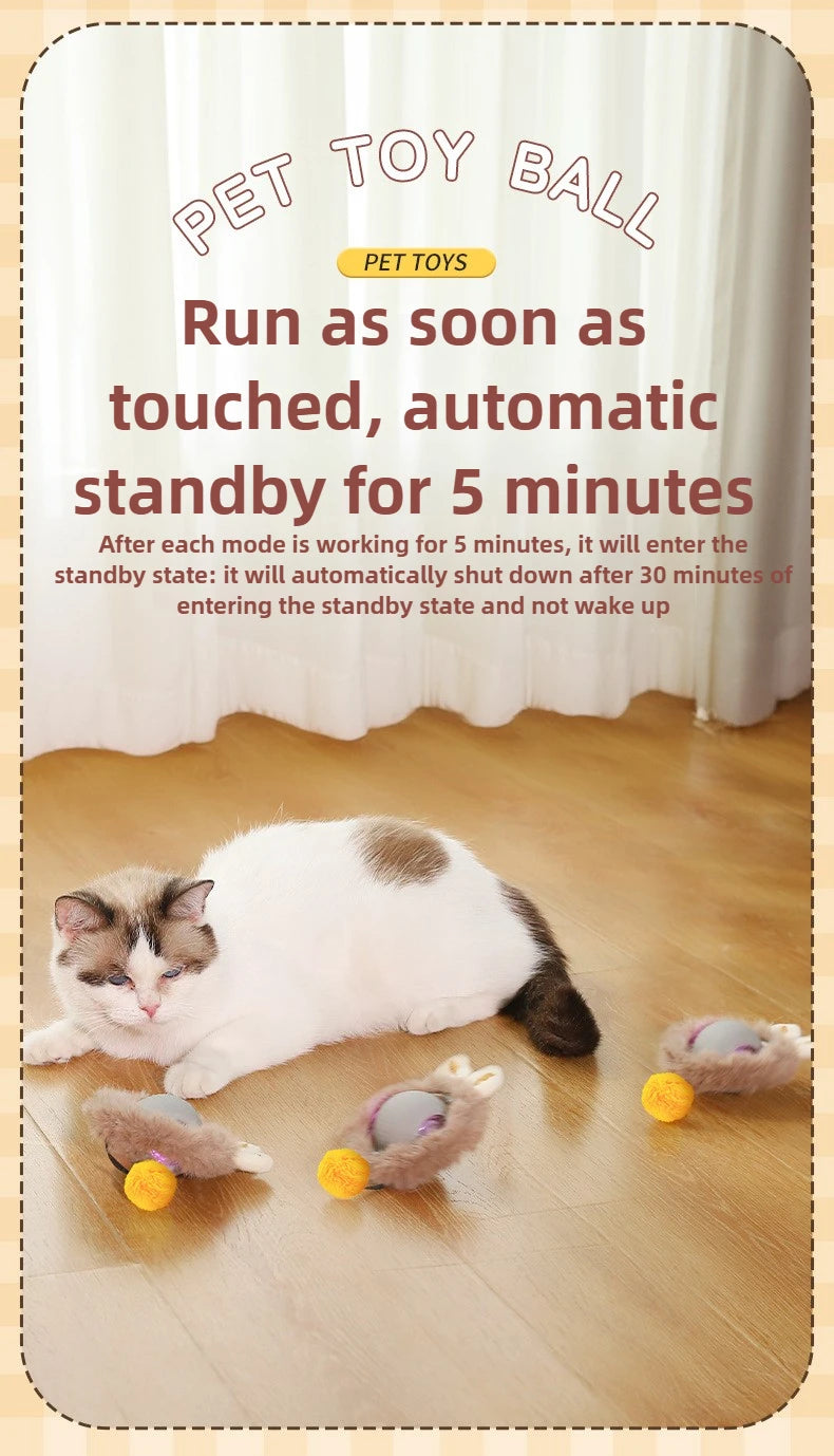 Cat playing with a pet toy ball on a wooden floor with product details.