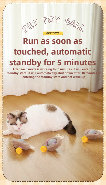 Cat playing with a pet toy ball on a wooden floor with product details.