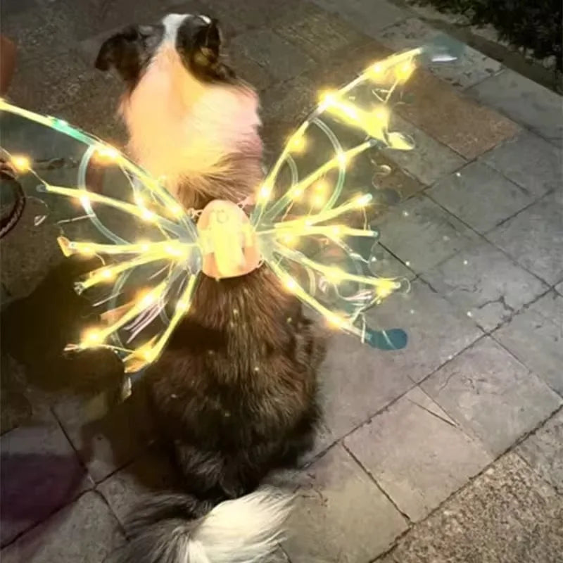Dog lying on a pavement with fairy lights around its head
