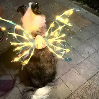 Dog lying on a pavement with fairy lights around its head