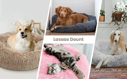 Collage of dogs and a cat on various pet beds with 'Lasaas Dount' branding.