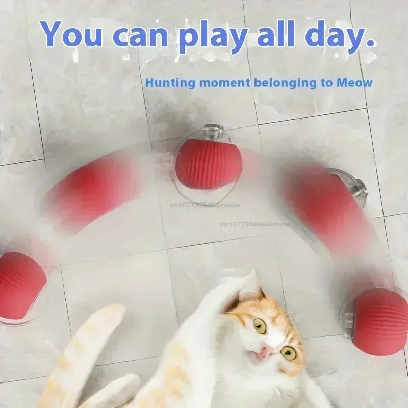 Cat playing with a red and gray toy on a tiled floor, with text above.