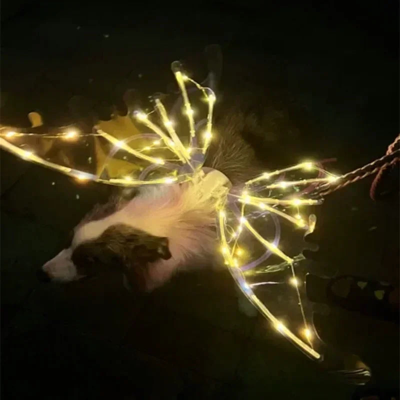 Decorative fairy lights on a dark background