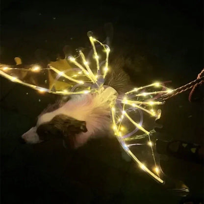 Decorative fairy lights on a dark background