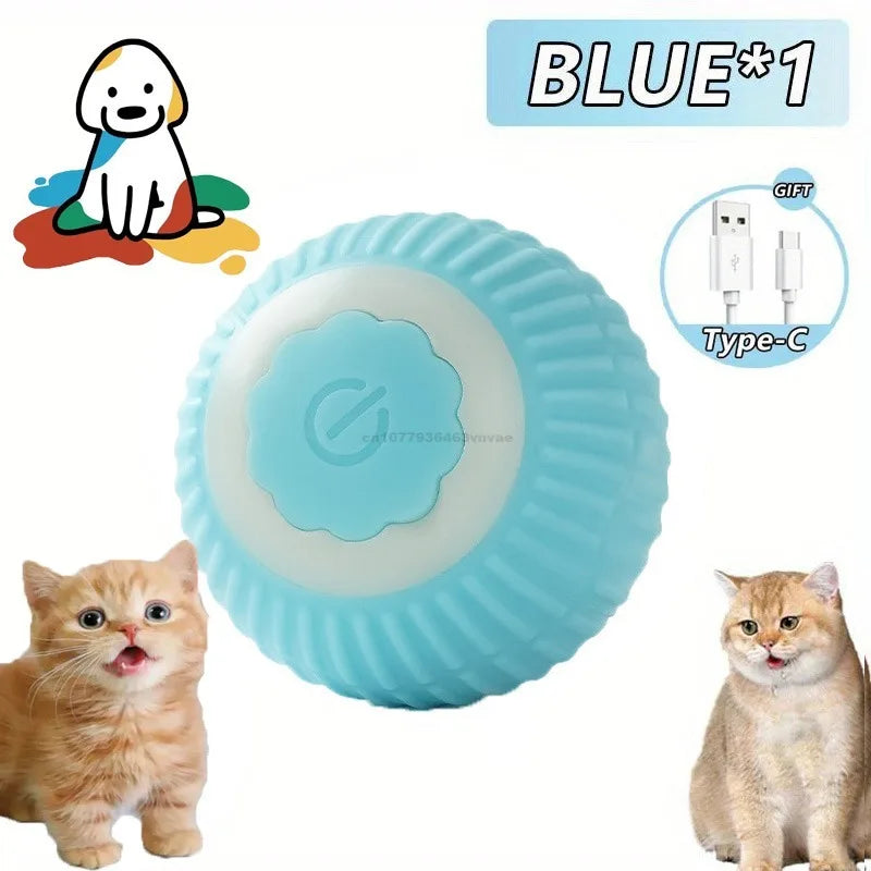 Pet toy with a blue color option, surrounded by two cats and a USB cable on a white background.