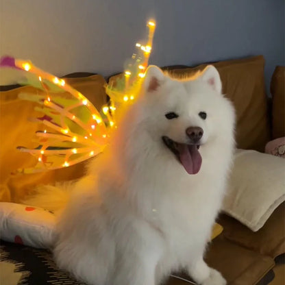 White dog sitting on a couch with string lights in the background