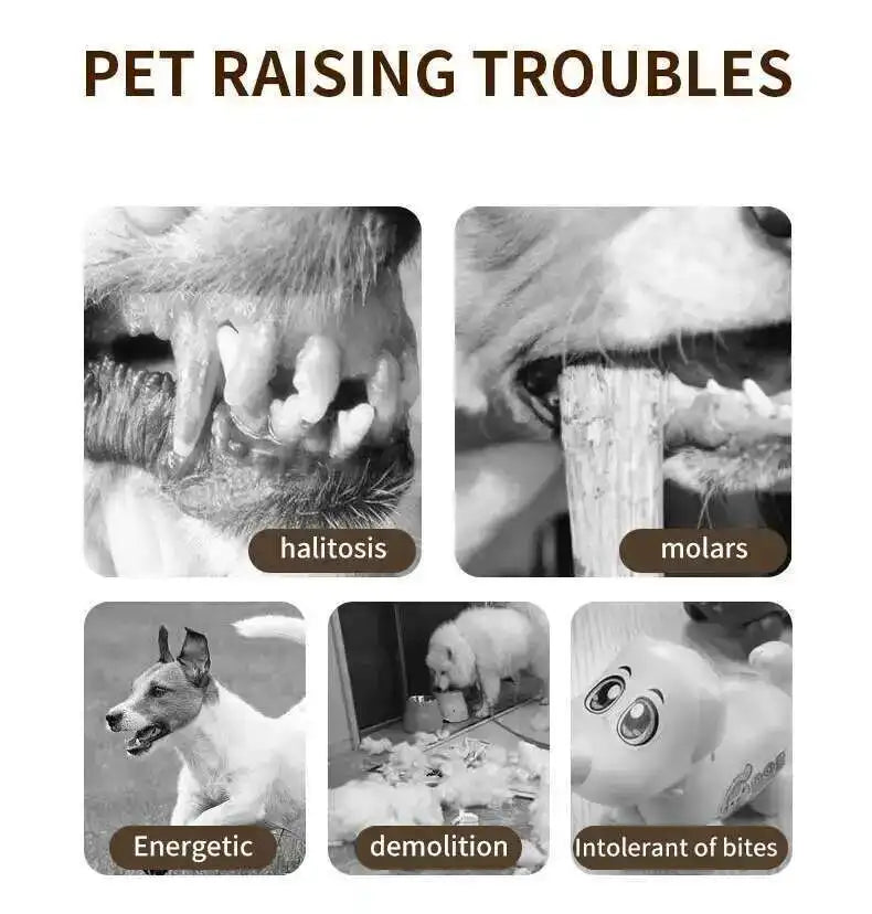 Illustrations of pet dental issues and behaviors with text labels.