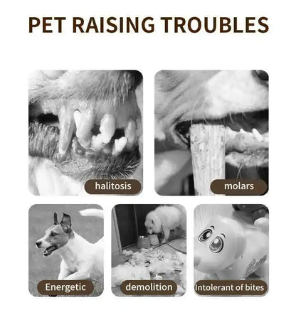 Illustrations of pet dental issues and behaviors with text labels.