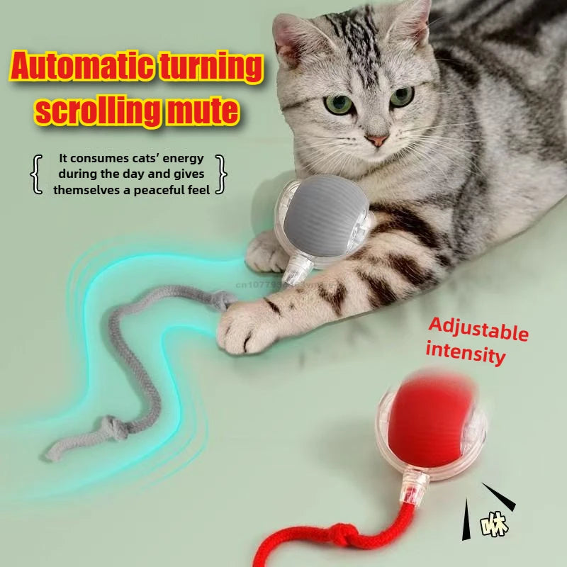 Cat playing with a toy that has adjustable intensity, on a light green background.