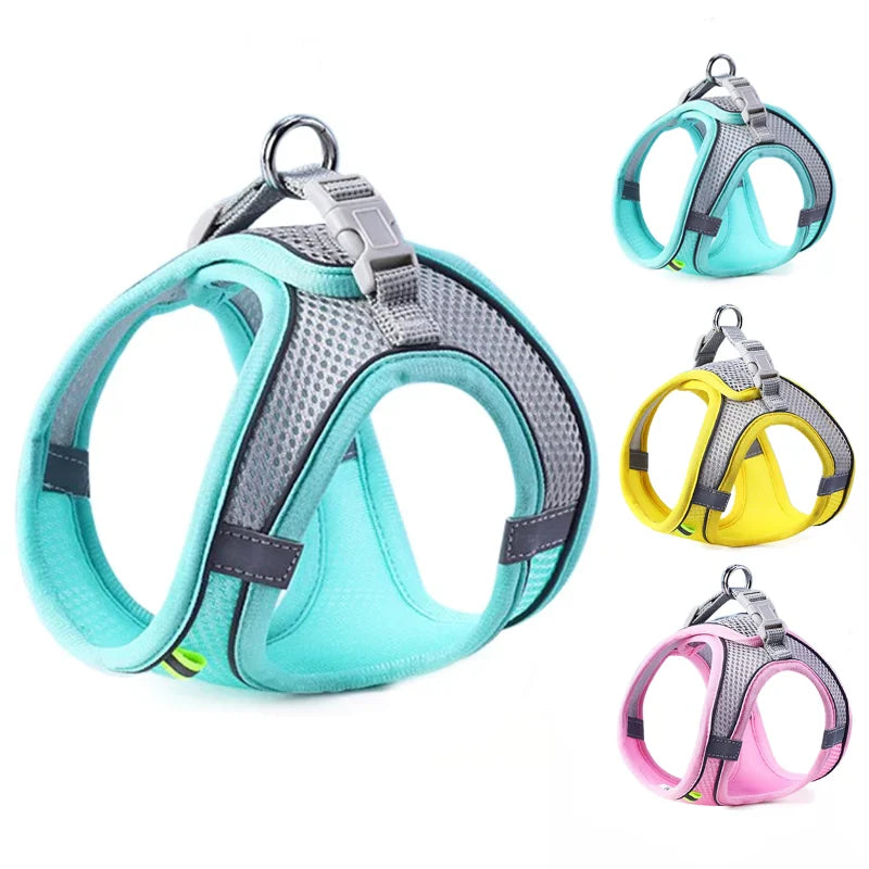 Set of dog harnesses in various colors on a white background