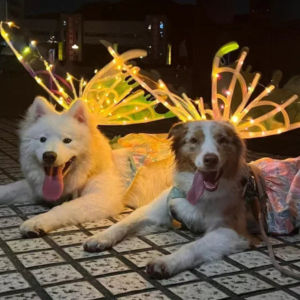 Two dogs lying on a tiled floor with festive lights in the background