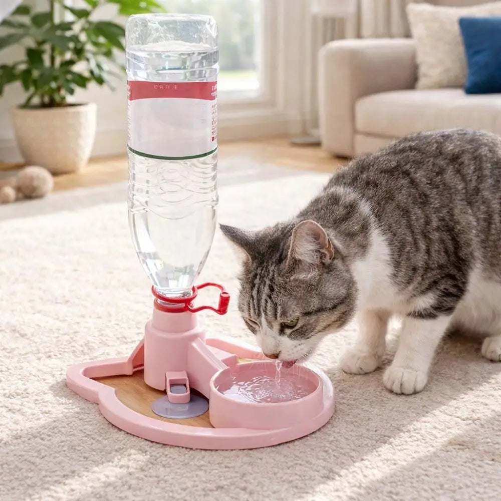 Cat drinking water from a pink pet fountain in a living room.