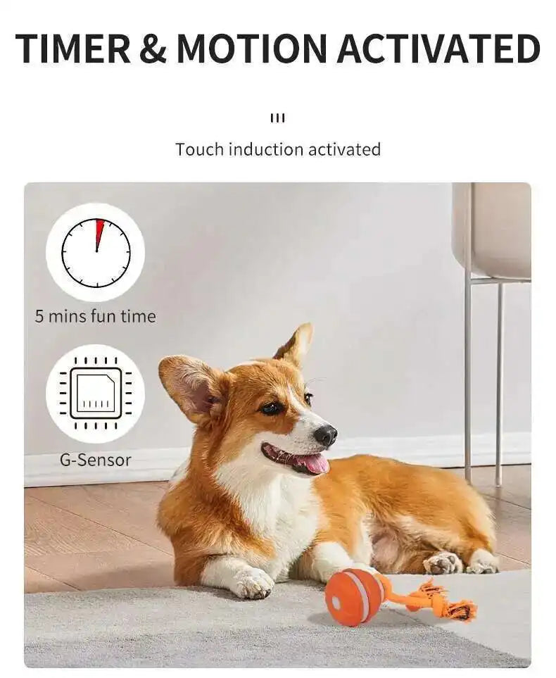 Dog lying on a rug with a toy, featuring text about timer and motion activation.