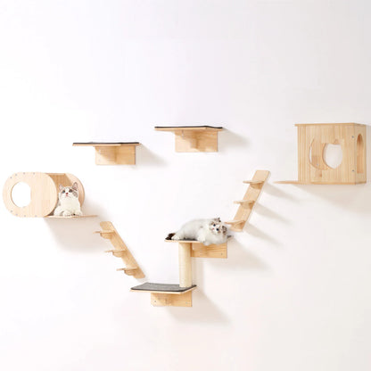 Wooden cat shelf with two cats on a white background