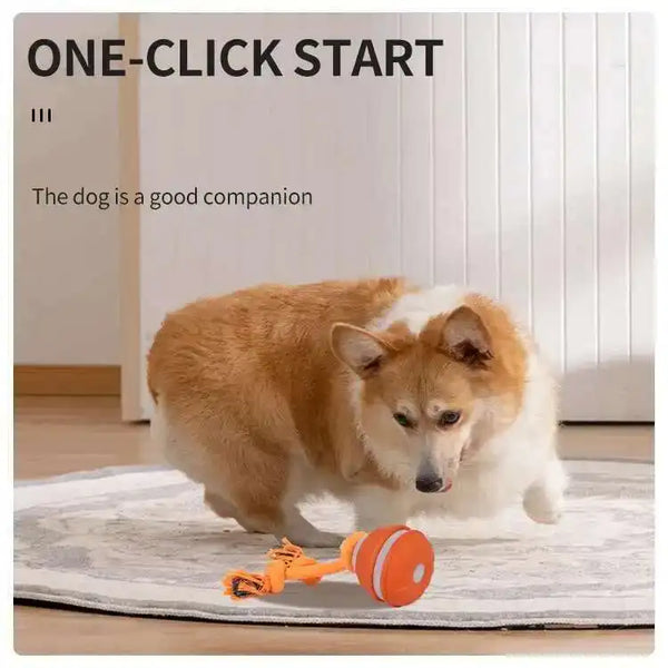 Dog playing with a toy on a rug, with text 'ONE-CLICK START' and 'The dog is a good companion'.