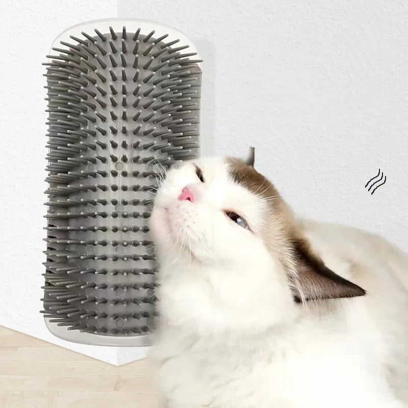 Cat interacting with a grooming brush on a white background
