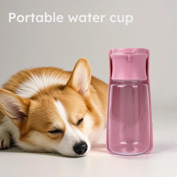 Pink portable water cup next to a sleeping dog on a light gray background