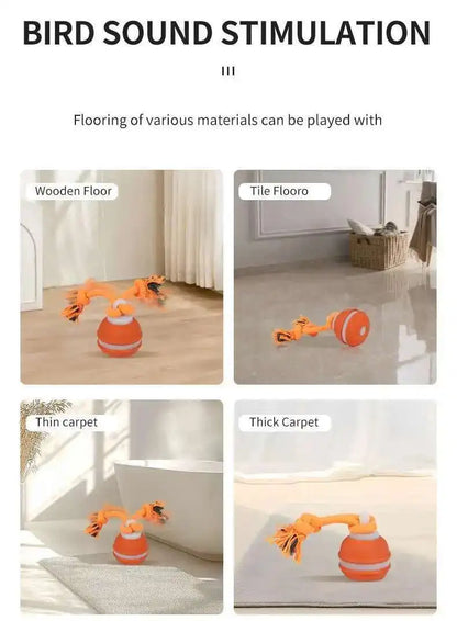 Product demonstration of bird sound stimulation device on different flooring types.