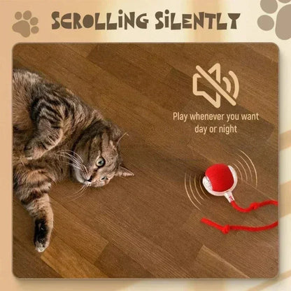 Cat playing with a toy on a wooden floor, with text 'Scrolling Silently' and a paw print logo.