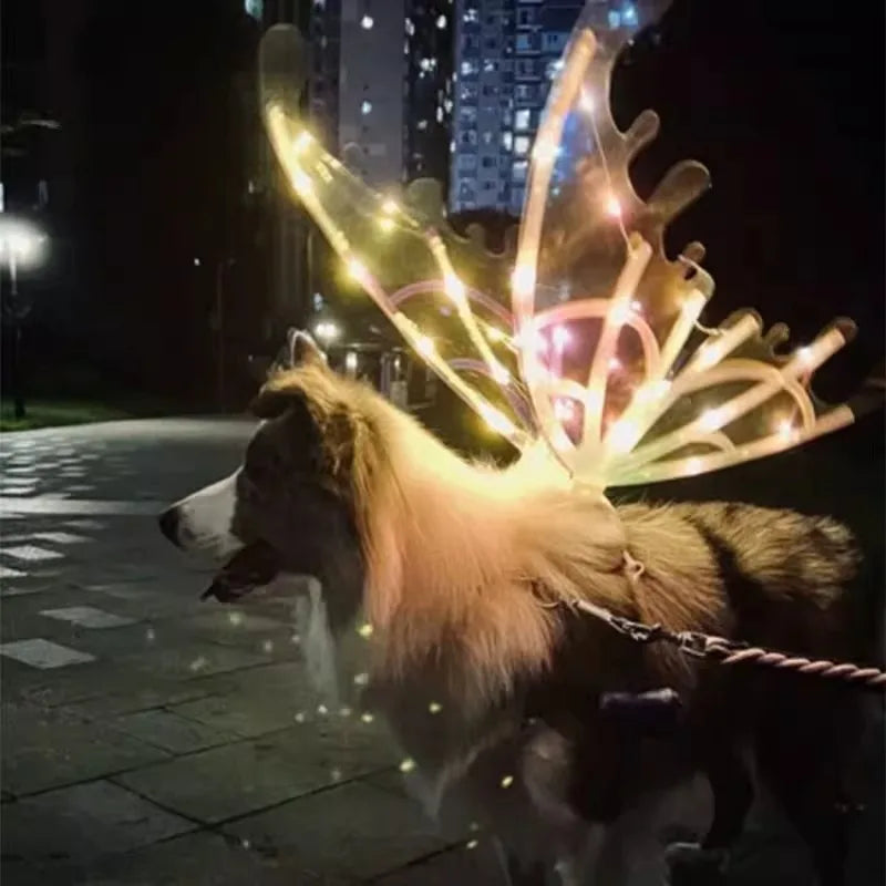 Dog wearing a reindeer antler costume with LED lights at night.