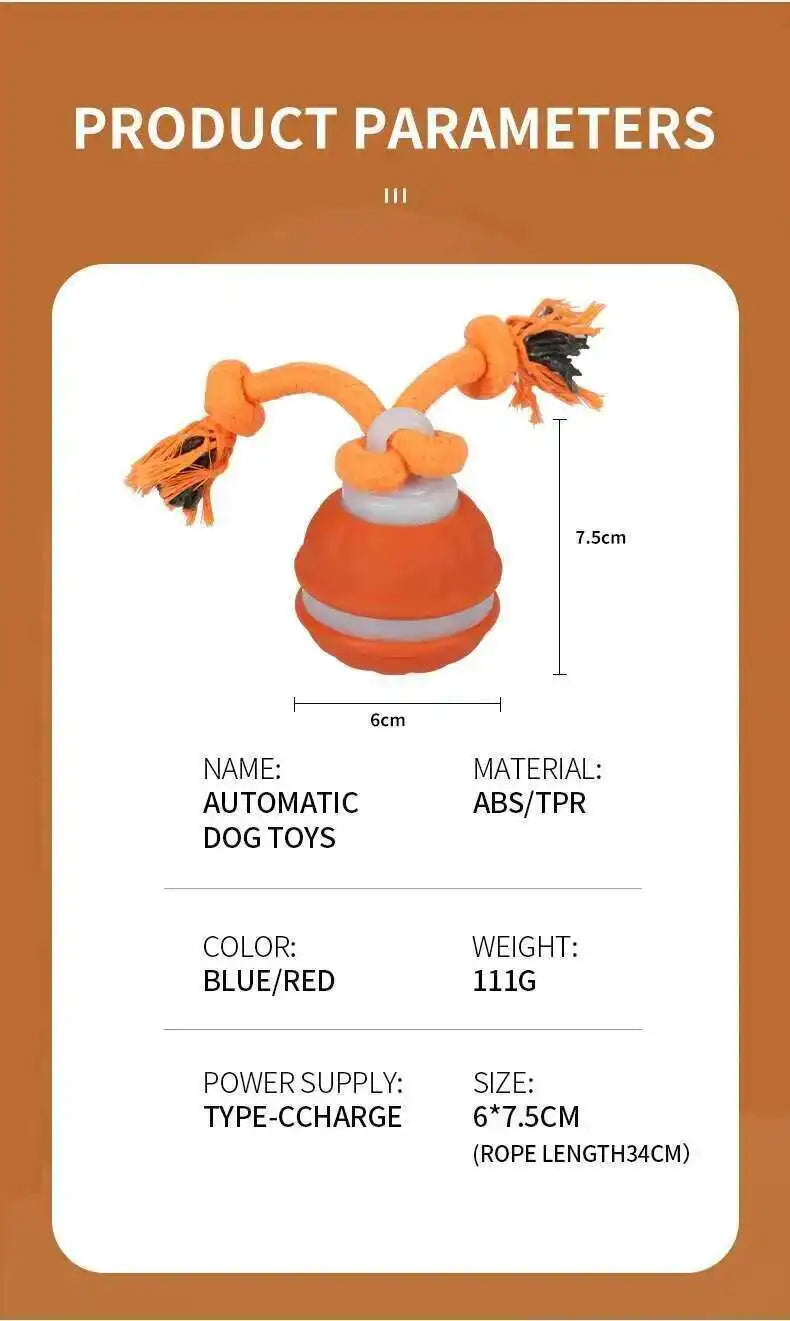 Automatic dog toy with product parameters on a brown border