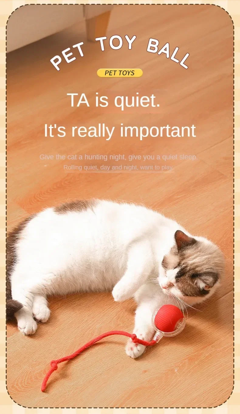 Cat playing with a red toy ball on a wooden floor, with text about pet toys.