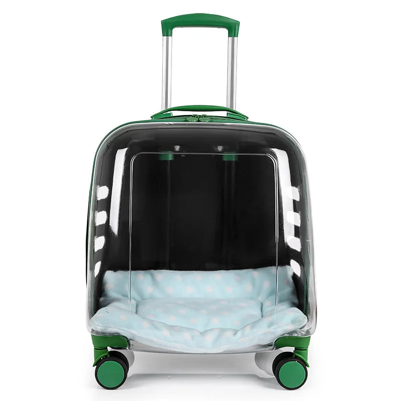 Clear suitcase with green accents and a cushion inside on a white background