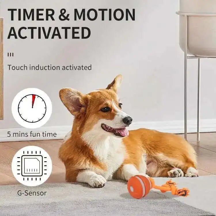 Automatic Rolling Dog Ball Toy Interactive Squeaky Chew Toy with Knot Rope