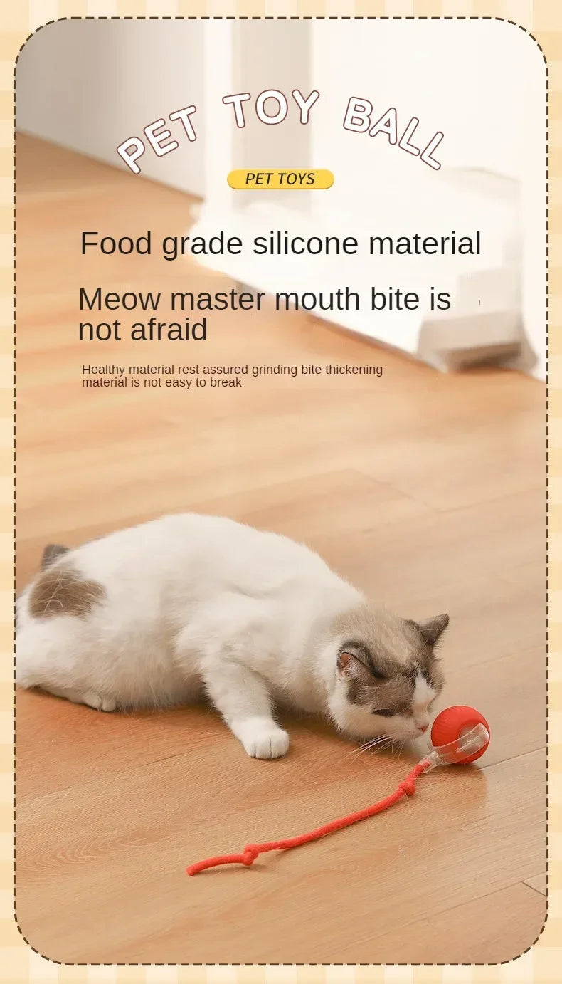Cat playing with a red toy ball on a wooden floor, with text about pet toy ball features.