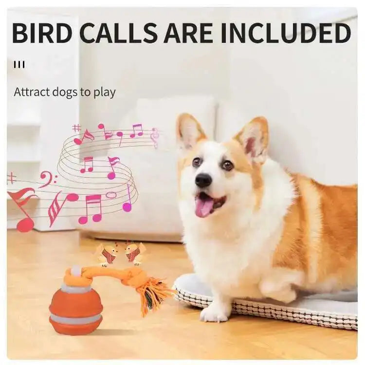 Automatic Rolling Dog Ball Toy Interactive Squeaky Chew Toy with Knot Rope