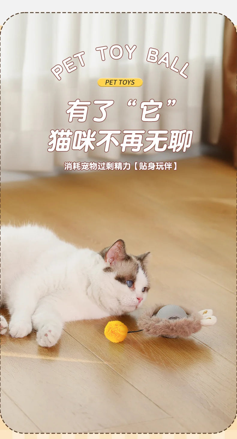 Cat playing with a toy ball on a wooden floor