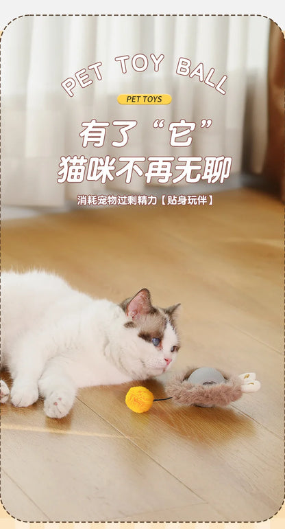 Cat playing with a toy ball on a wooden floor