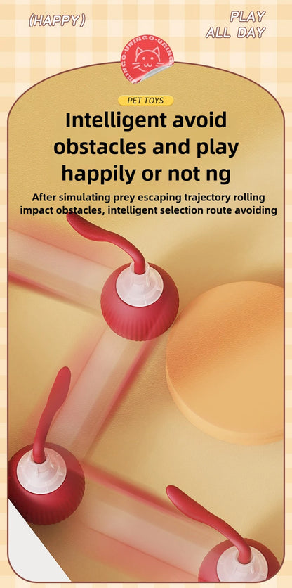 Pet toy with red and white design on a beige background, featuring text about intelligent play.