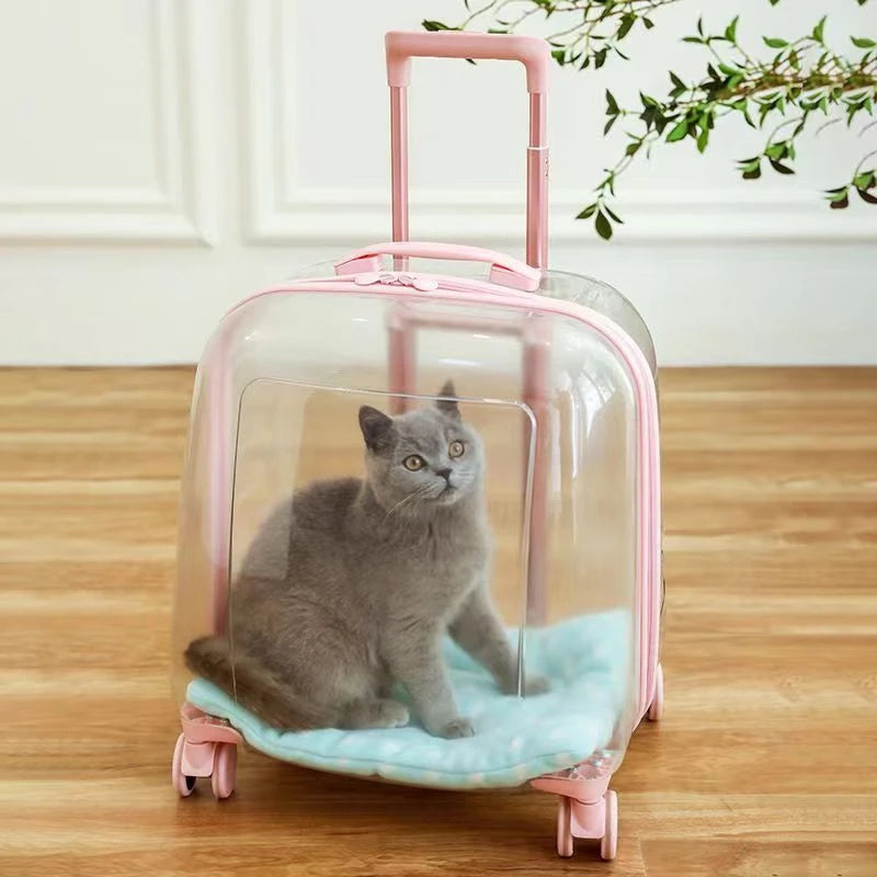 Clear pet carrier with pink handle and wheels on a wooden floor, containing a gray cat.