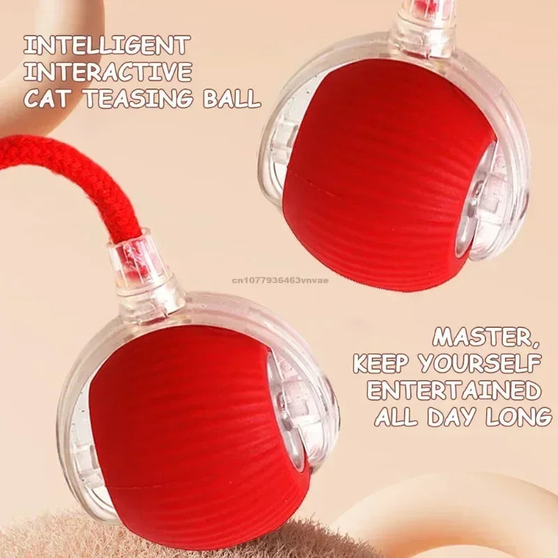 Red interactive cat teasing ball with text on a beige background