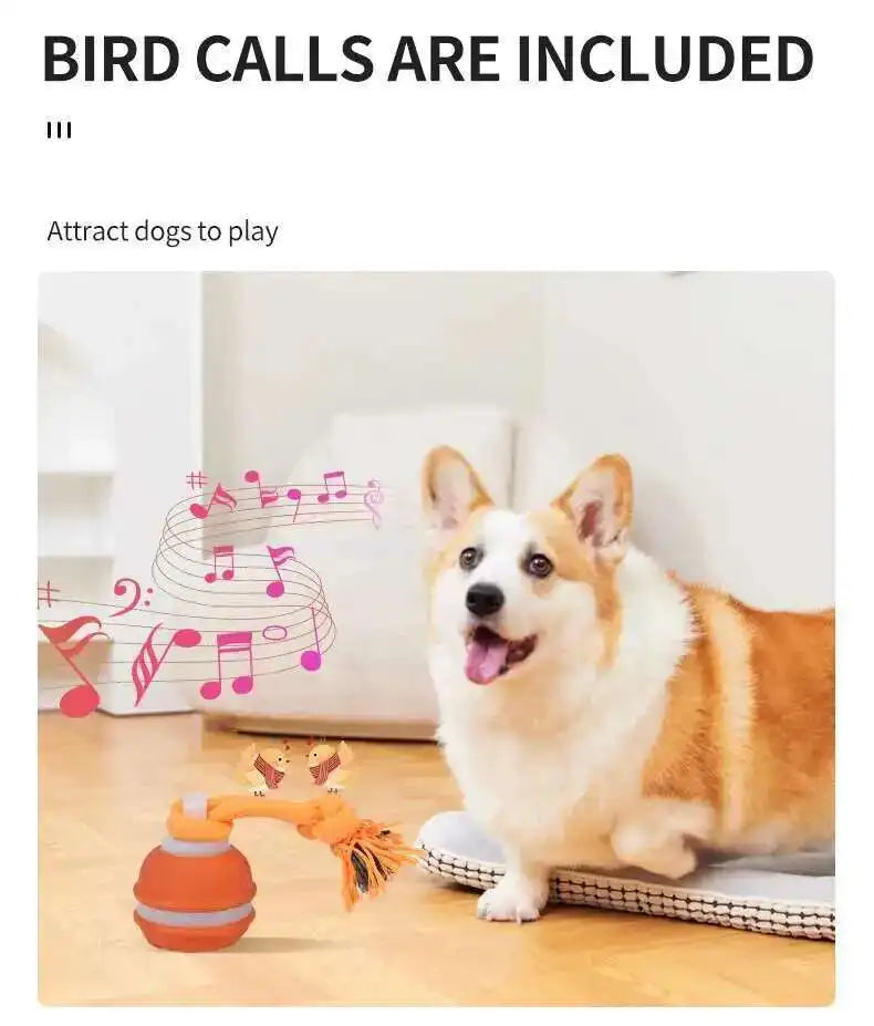 Dog playing with a toy near a music note graphic, with text indicating bird calls are included.